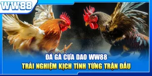 Đá Gà Cựa Dao WW88 – Trải Nghiệm Kịch Tính Từng Trận Đấu
