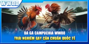Đá Gà Campuchia WW88 - Trải Nghiệm Gay Cấn Chuẩn Quốc Tế