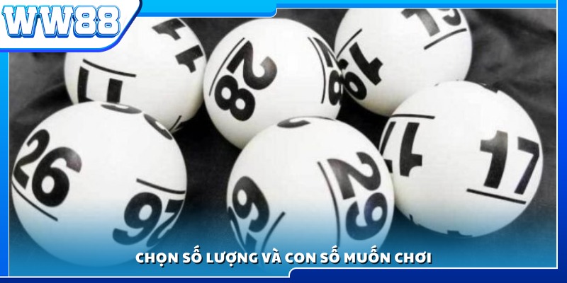 Chọn dãy số và số lượng muốn đặt cược