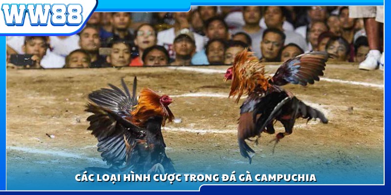 Các kiểu kèo cá cược thường gặp