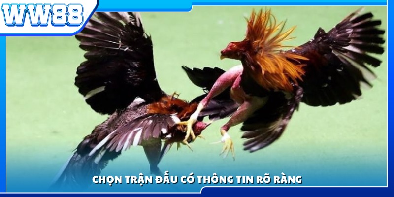 Ưu tiên lựa chọn trận đấu có đầy đủ thông tin minh bạch