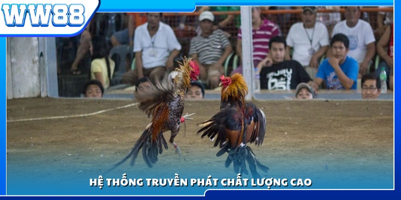 Công nghệ livestream sắc nét và ổn định