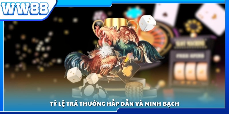 Tỷ lệ cược cạnh tranh, đảm bảo minh bạch