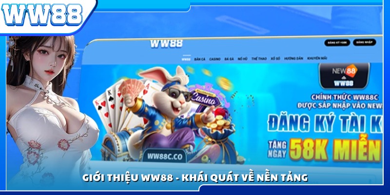 Khái quát về nền tảng