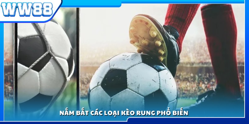 Tìm hiểu những dạng kèo rung thường gặp
