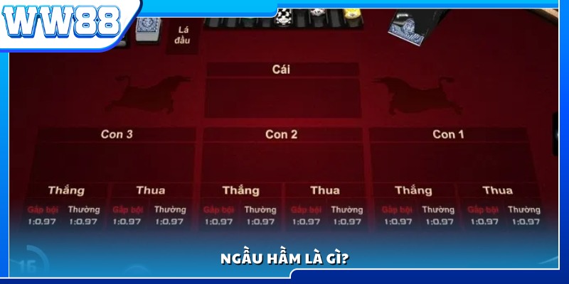 Ngầu hầm là gì? Tìm hiểu sơ lược