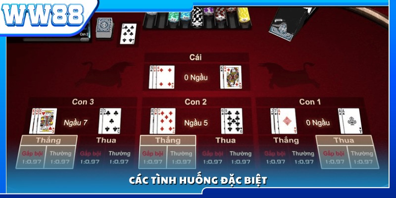 Những trường hợp đặc biệt trong luật chơi ngầu hầm