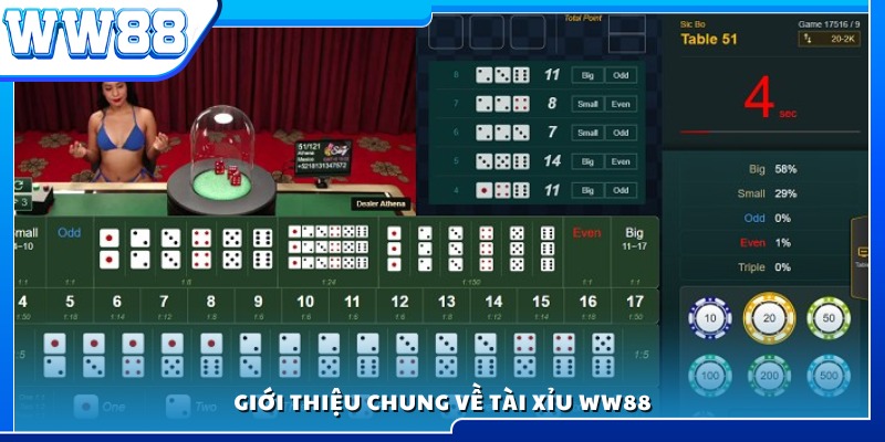 Tổng quan trò chơi tài xỉu tại WW88