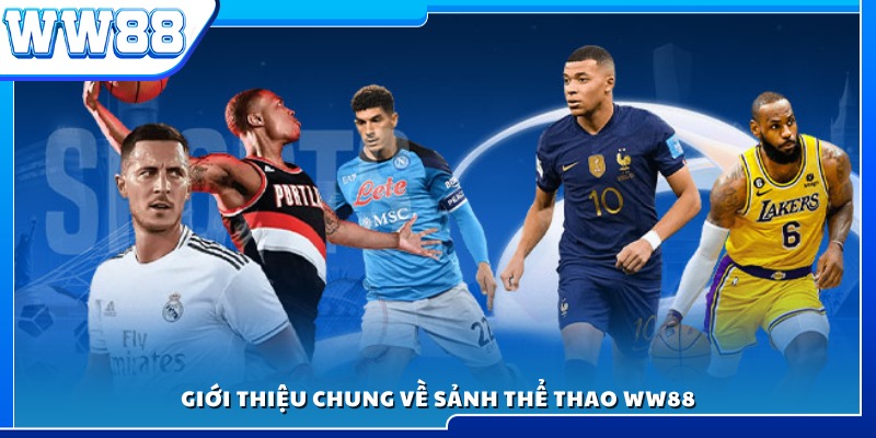 Tổng quan về sảnh cá cược thể thao tại WW88